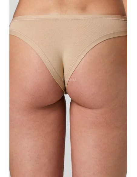 Chiloti brazilieni de dama