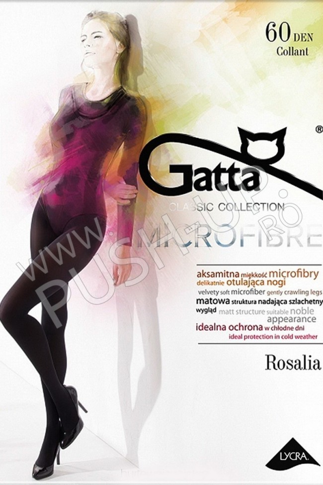 Gatta Rosalia 60